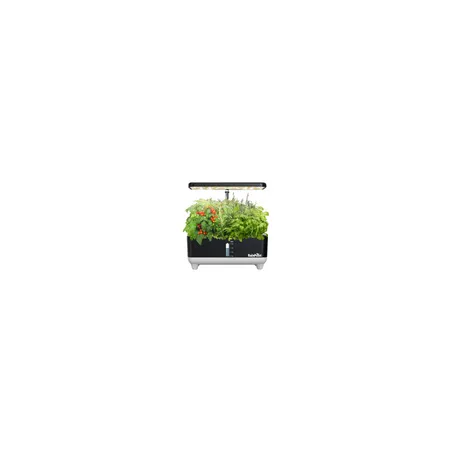 RainPoint Hydroponic Growing Kit